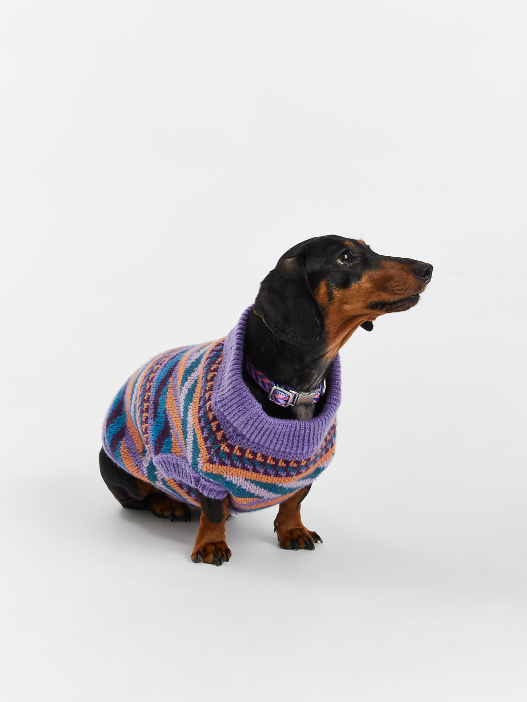 Designed for a comfortable fit, this jumper ensures your dog can move with ease while staying stylish.