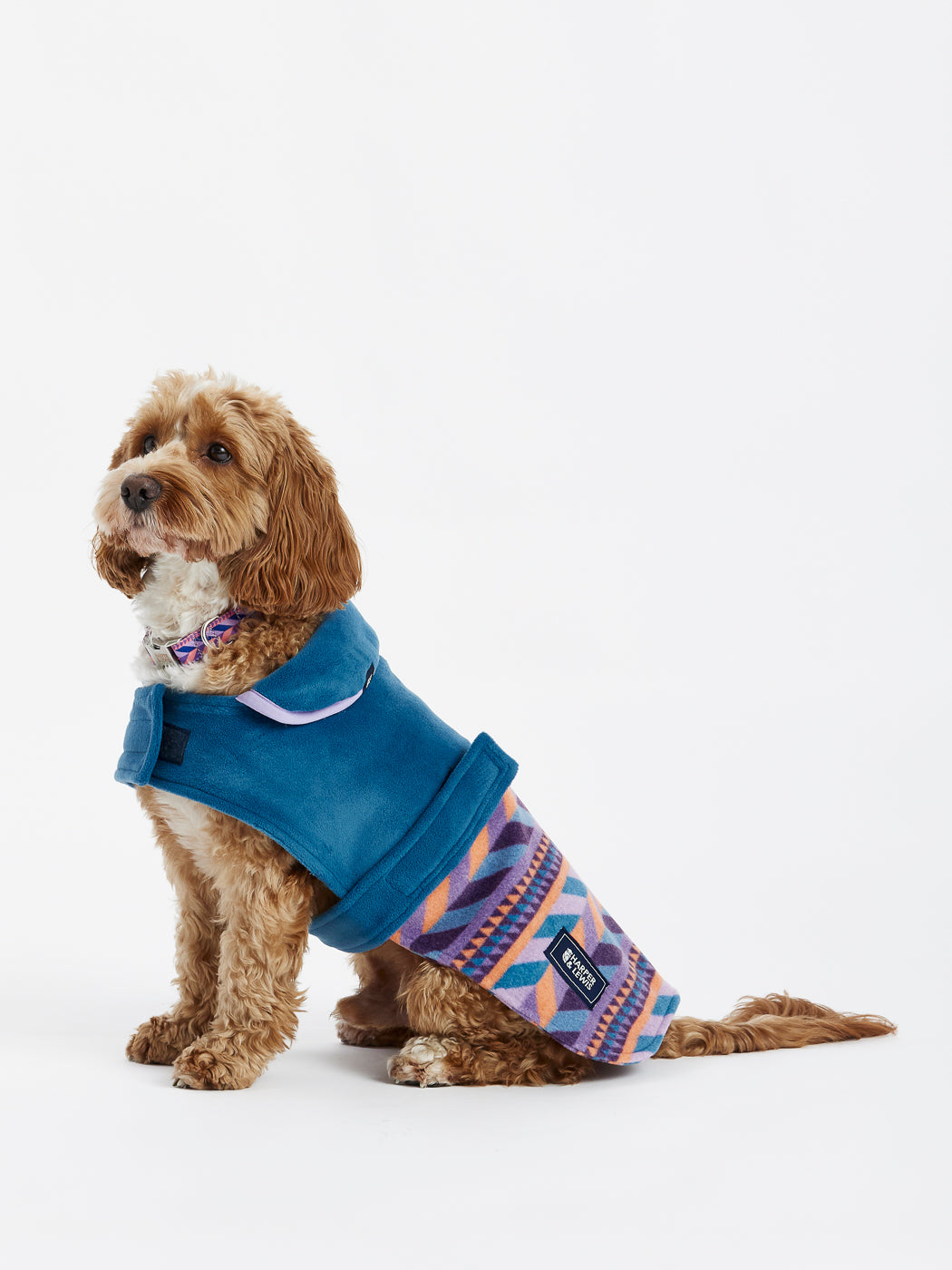 Keep your dog warm and stylish with the Sloan Dogs Fleece.