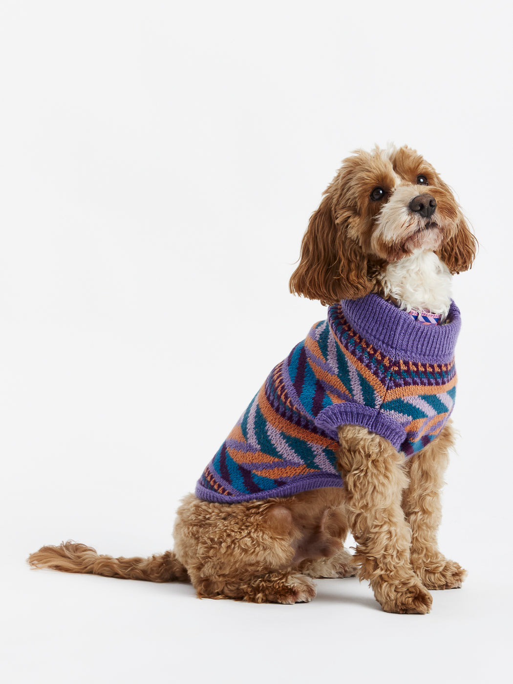 Perfect for keeping your pet warm on chilly days, the Dogs Knitted Jumper blends practical warmth with a fashionable design, ensuring your dog looks great while staying comfortable.