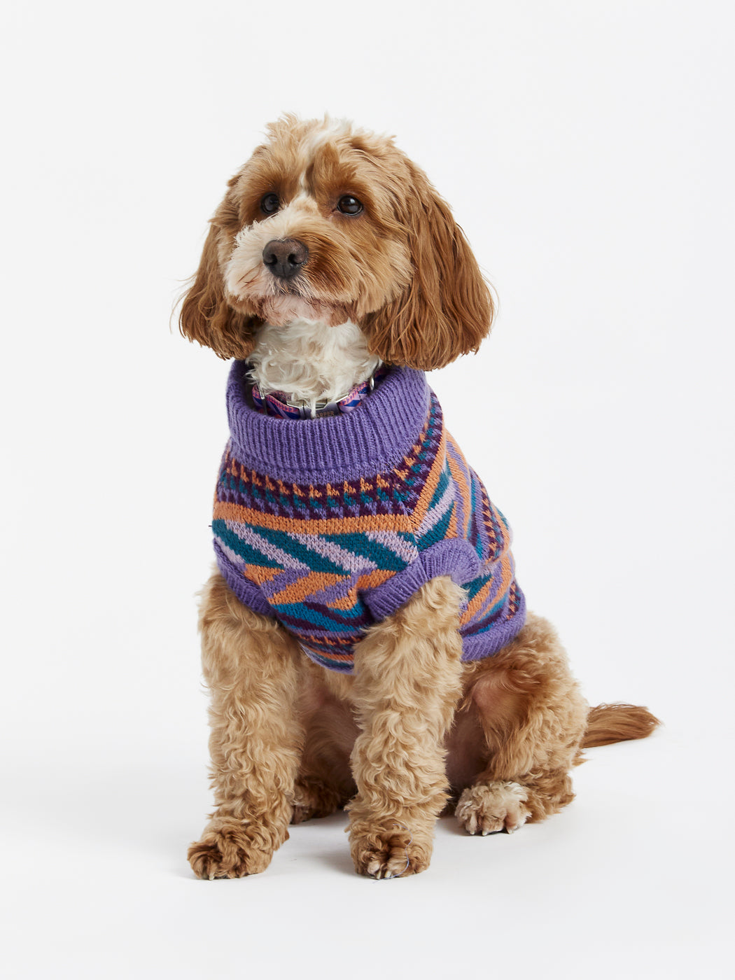 Dress your furry friend in retro style with the Dogs Knitted Jumper from Harper & Lewis.