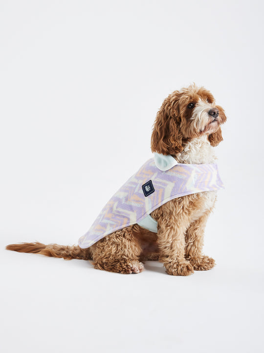 Designed for comfort and practicality, it has an adjustable fit with Velcro at the neck and belly, and a harness hole for easy walks.