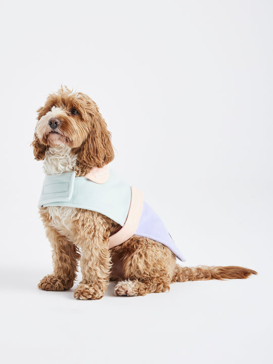 Designed for comfort and practicality, it has an adjustable fit with Velcro at the neck and belly, and a harness hole for easy walks.