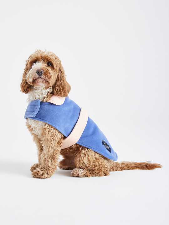 Robins dogs fleece in airforce blue with peach accents.