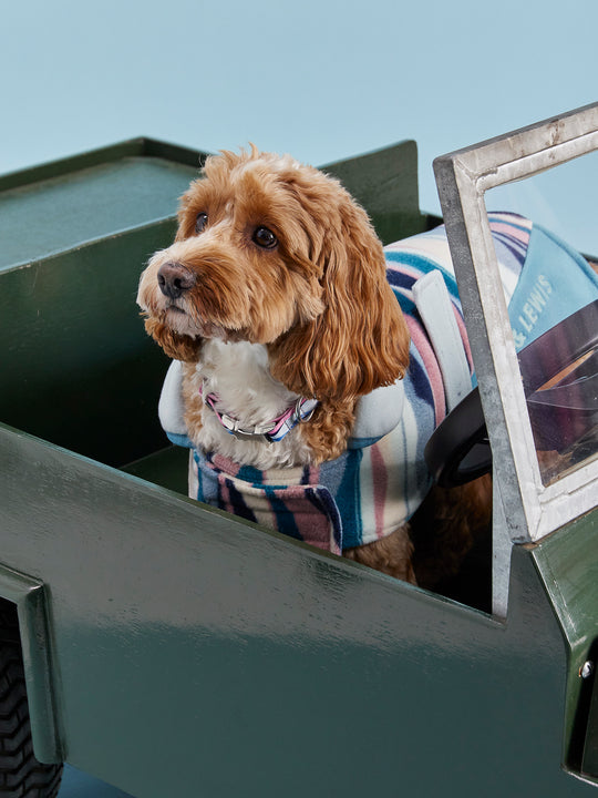 The dog coat includes an embroidered Harper & Lewis logo and a contrast Cool Aqua collar and Steel Blue binding. 