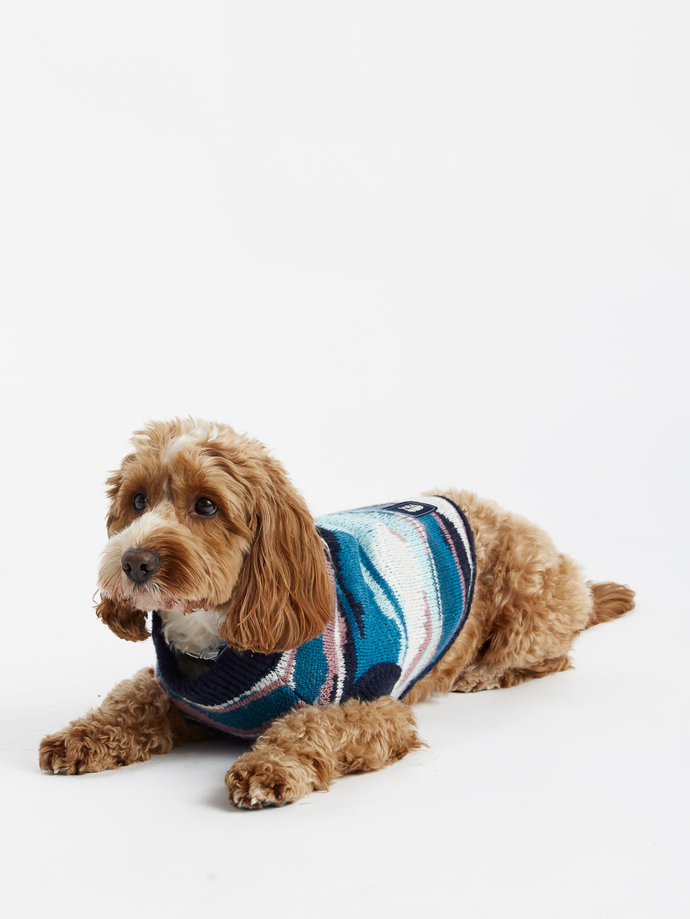 This jumper showcases a striking all-over retro pattern, perfect for adding a splash of style to your dog's wardrobe.