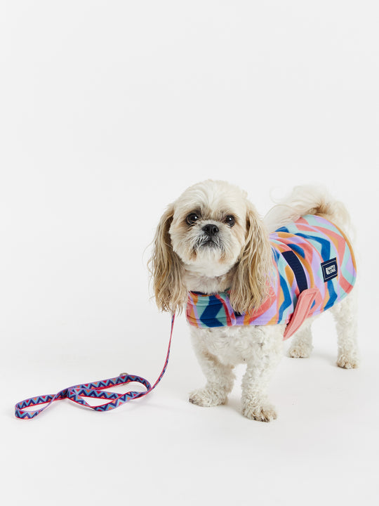 Contrasting coral fold over collar, with airforce blue piping on this dogs fleece coat.