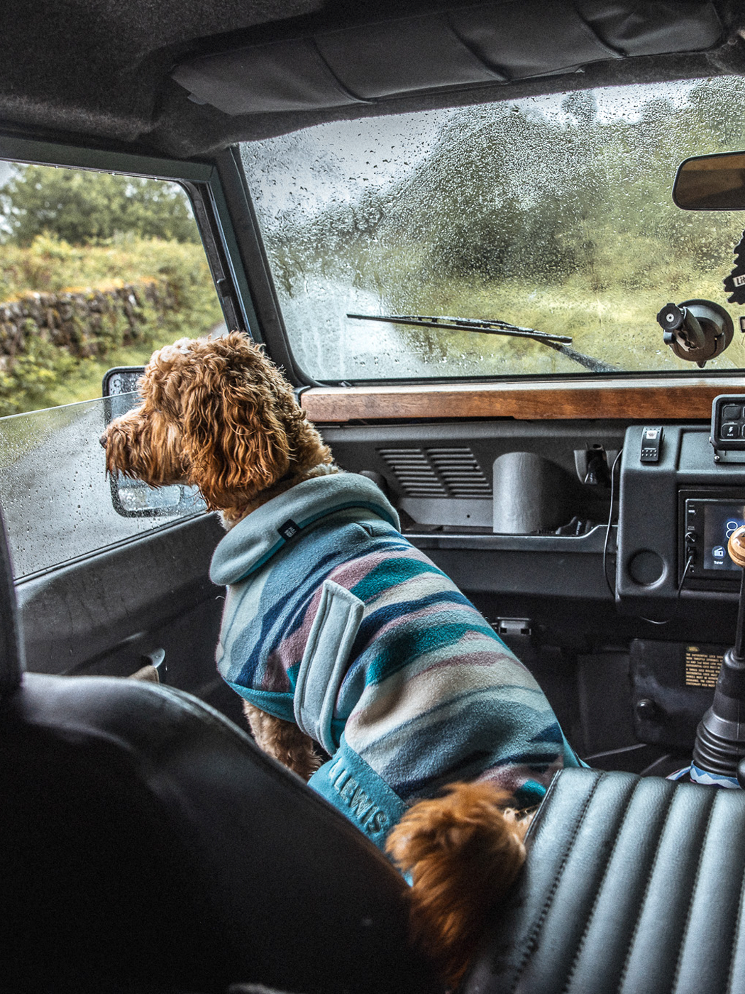 The branded badge at the collar adds a touch of style to this patterned dogs coat.